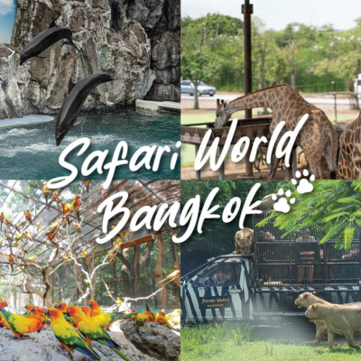Safari World Tour